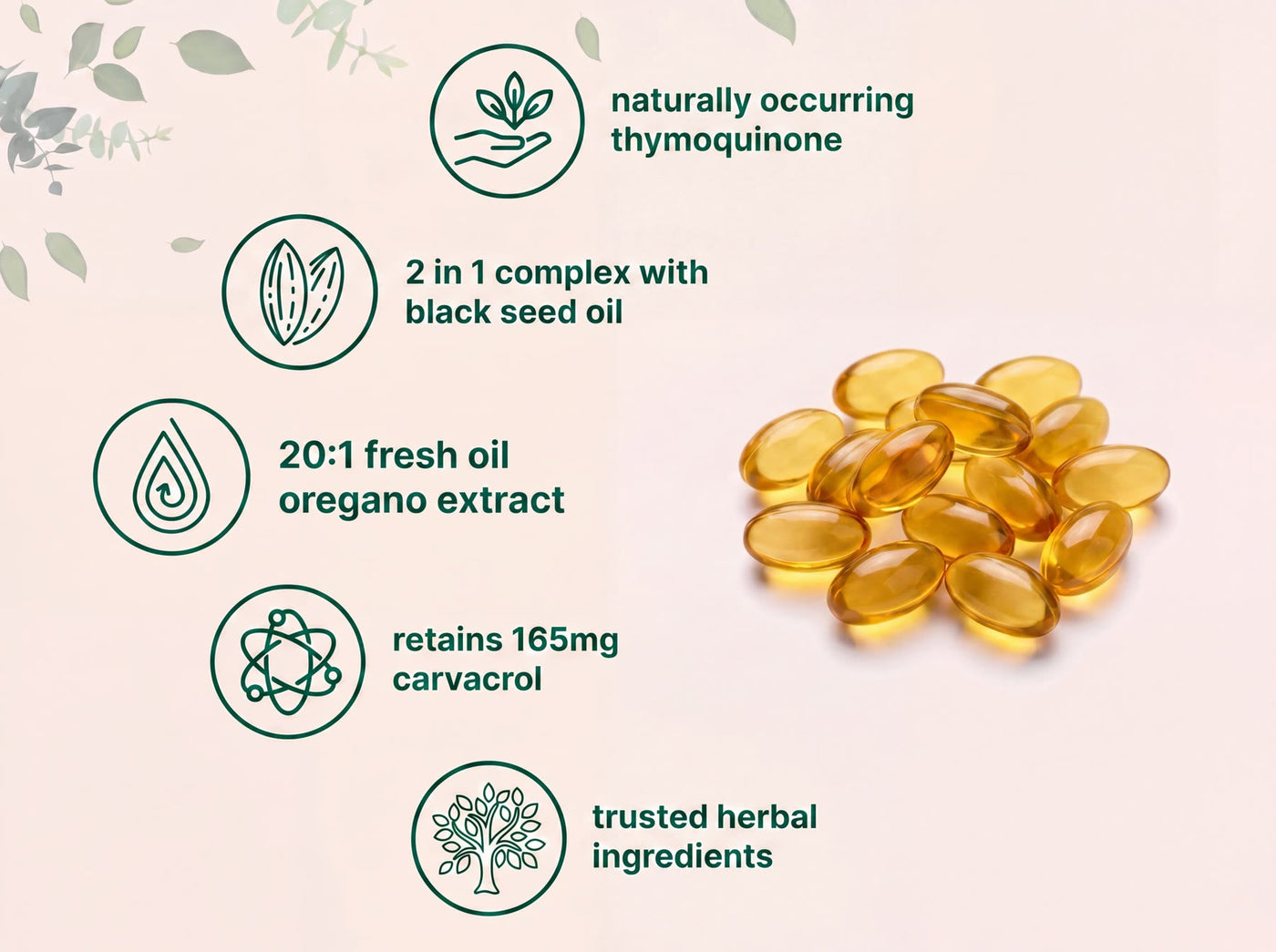 Oregano oil softgel capsules — key benefits and ingredients